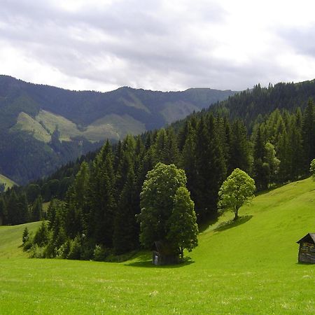 Villa Kirchenbichlerhof à Pruggern Extérieur photo