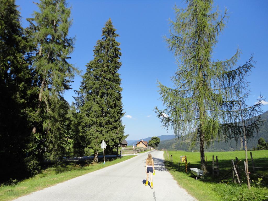 Villa Kirchenbichlerhof à Pruggern Extérieur photo