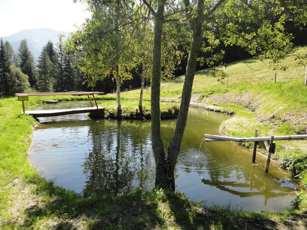 Villa Kirchenbichlerhof à Pruggern Extérieur photo