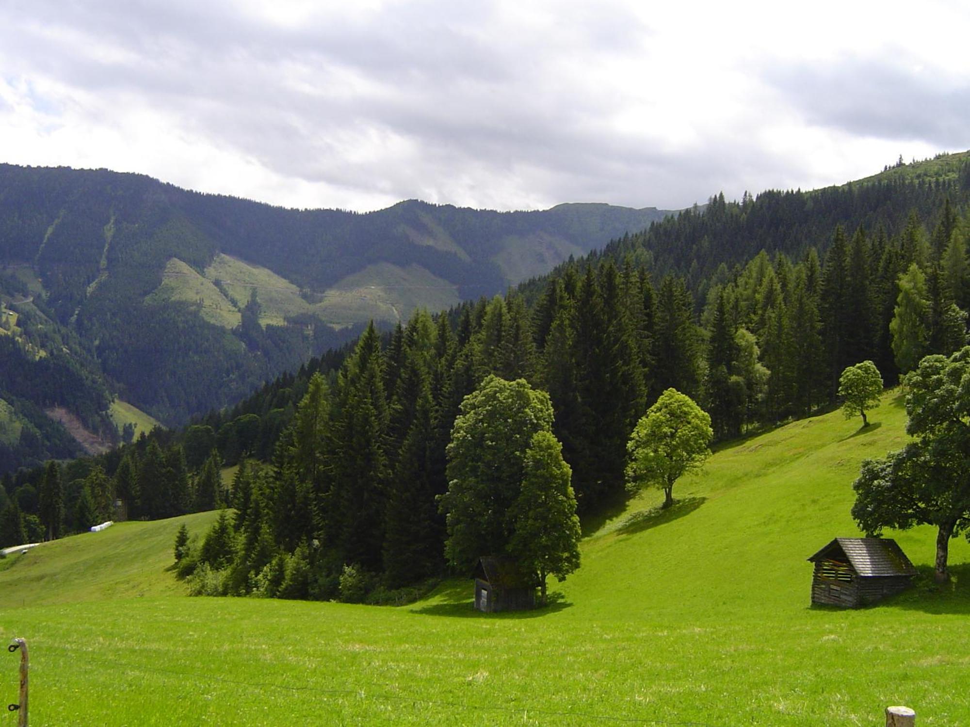Villa Kirchenbichlerhof à Pruggern Extérieur photo